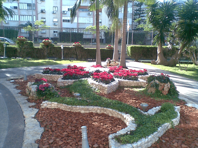 הקמה ועיצוב גינה 4